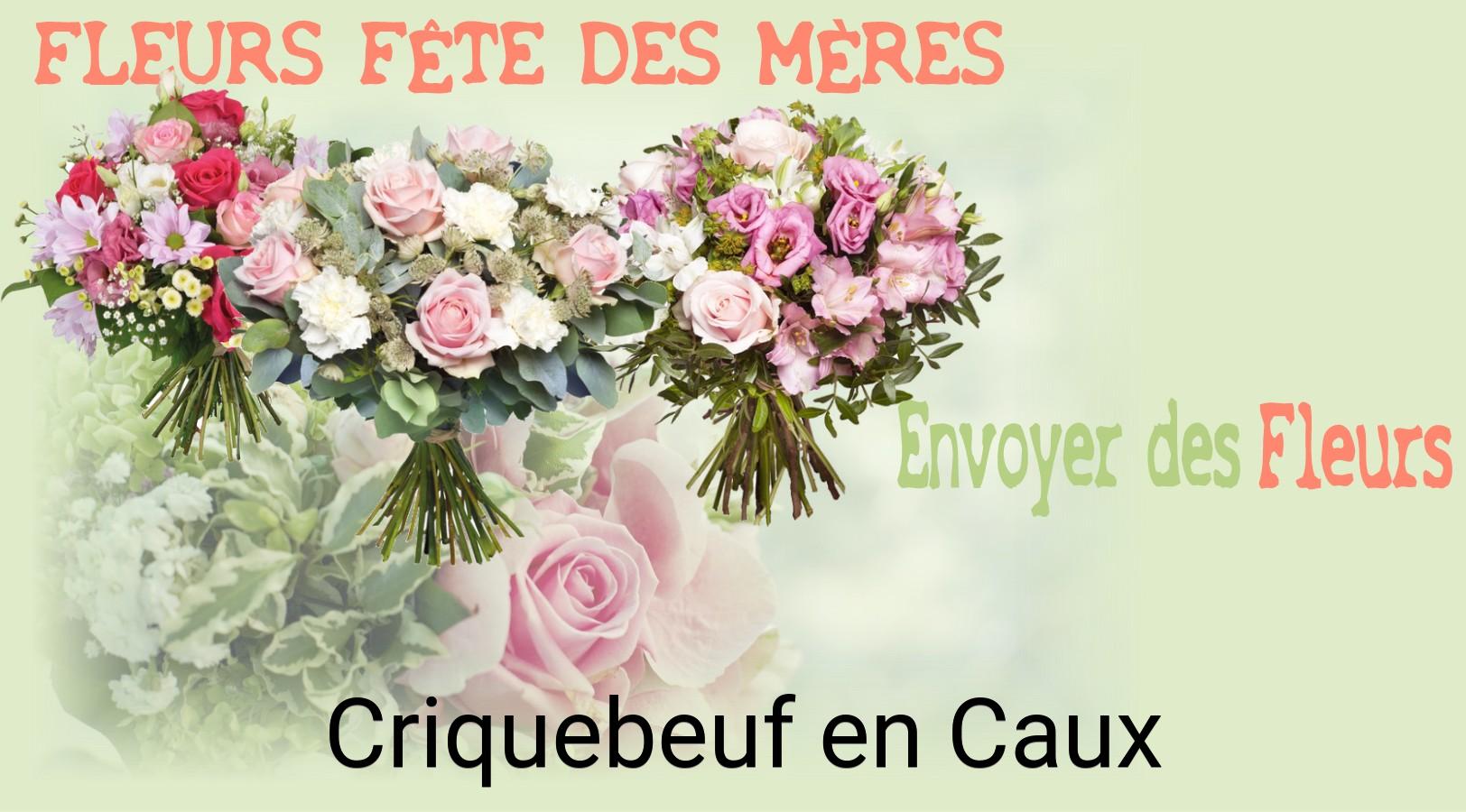 Bouquet de Fête des Mères livré à Criquebeuf-en-Caux